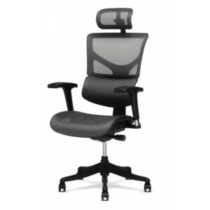 X-Chair Office Chairs Office Chairs X-Basic DVL Task Chair without Hea