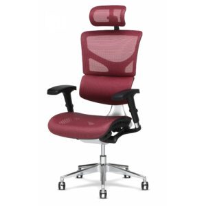 Pick A Time Here And We'll Bring The X-chair Out To Your Office - Highbar  Trading Co.